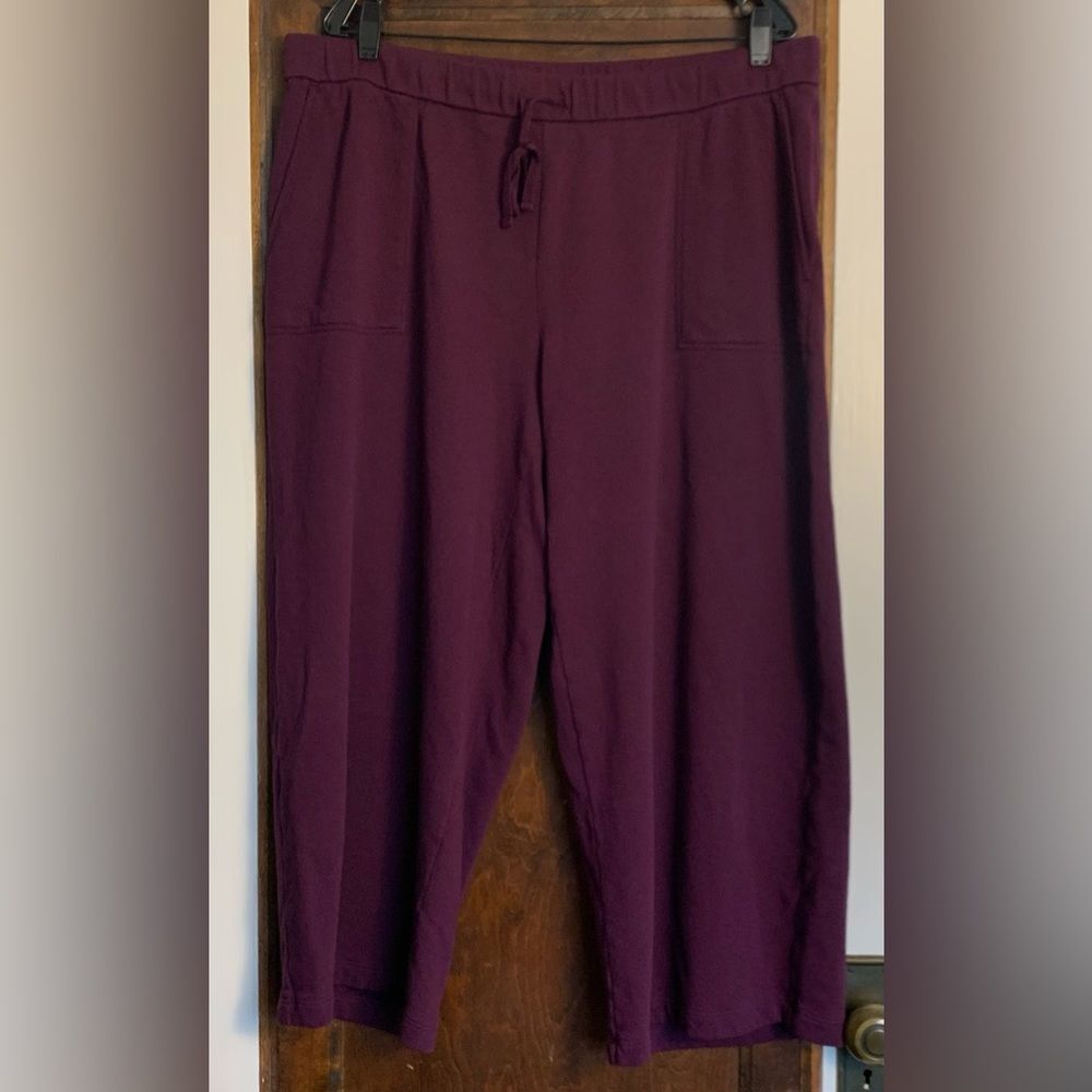 Eileen Fisher Lightweight Organic Cotton Terry Wide-Leg Pant XL Excellent - Picture 5 of 8